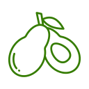 palta icon