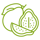 guayaba icon