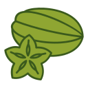 carambola icon