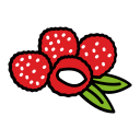 lychee icon