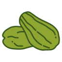 chayote icon