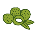 lychee icon