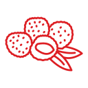 lychee icon