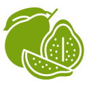 guayaba icon