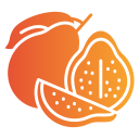 guayaba icon