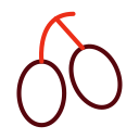 oliva 