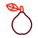 Айва 