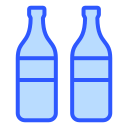 botella