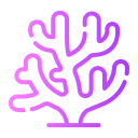 coral icon