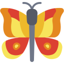 mariposa