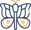 mariposa icon