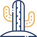 cactus icon