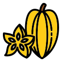 fruta estrella icon