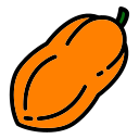 papaya icon