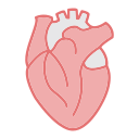 corazón icon