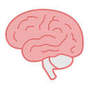 cerebro icon