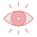 ojo icon