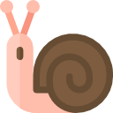 caracol icon