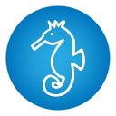 caballo de mar icon