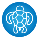 tortuga icon