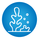 coral icon