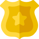 insignia icon