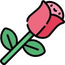 rosa icon