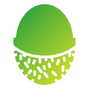 rambután icon