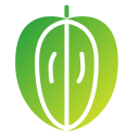 carambola icon