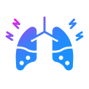 pulmones icon