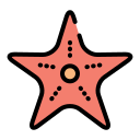 estrella de mar icon