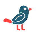 pájaro icon