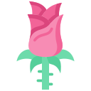 rosa icon