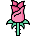 rosa