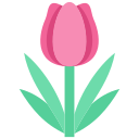 tulipán icon