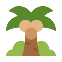 Árbol de coco icon