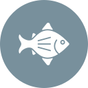 salmón icon