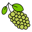 fruta icon