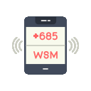 wsm icon