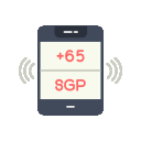 sgp icon