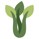 ervas 