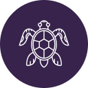 tortuga icon