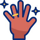 anillo icon