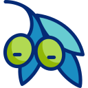 aceitunas icon