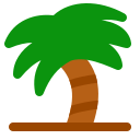 palmera icon