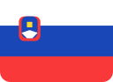 bandera icon