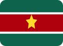 bandera icon