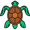 tortuga