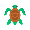 tortuga icon