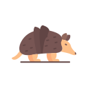 armadillo icon